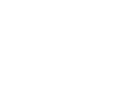 TOY KINGDOM