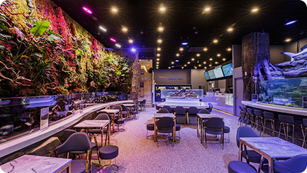 아쿠아필드 카페 드 아쿠아 모습