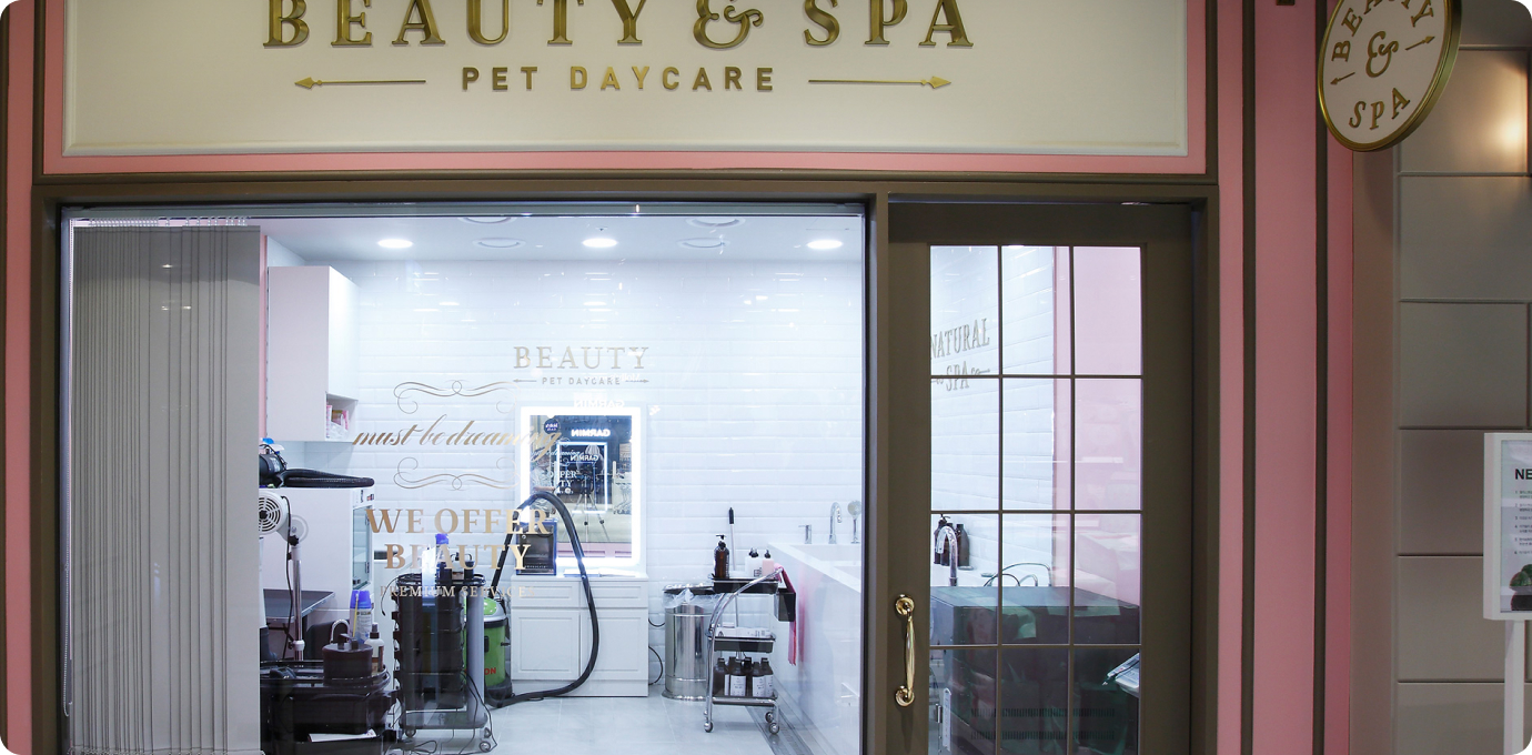 몰리스펫샵 매장 내부 모습