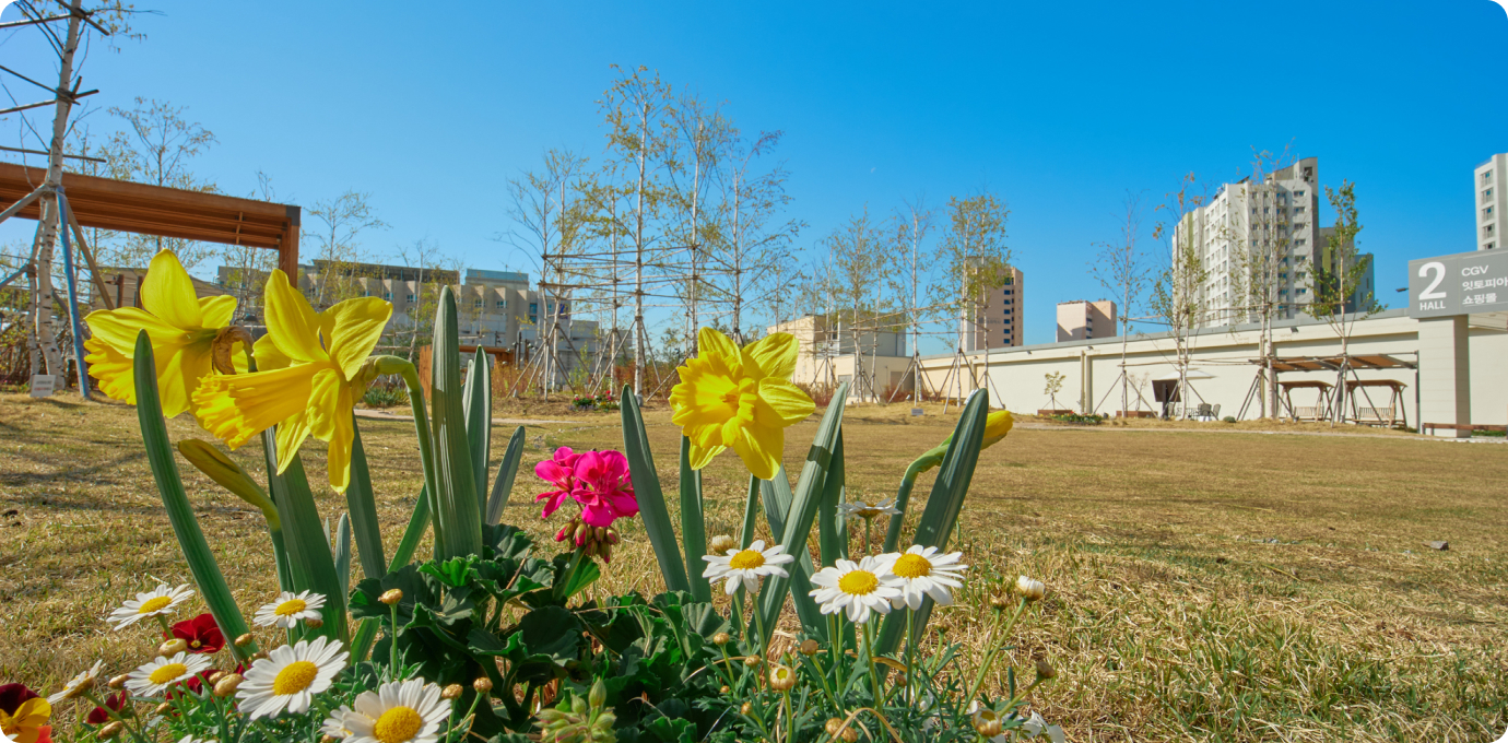 스타가든 옥상정원 꽃