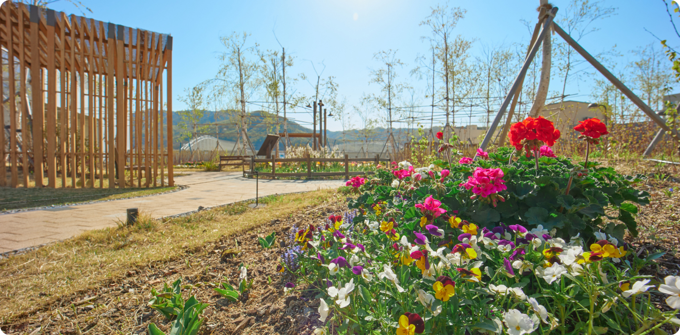 스타가든 옥상정원 꽃