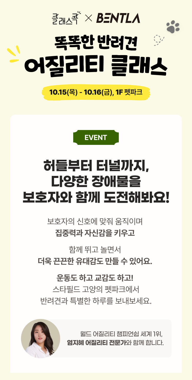 클래스콕 X BENTLA 똑똑한 반려견 어질리티 클래스
