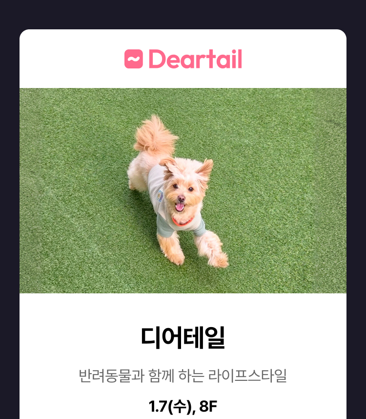 디어테일 -  반려동물과 함께 하는 라이프스타일, 리끌로우, 1.6(화), 8F